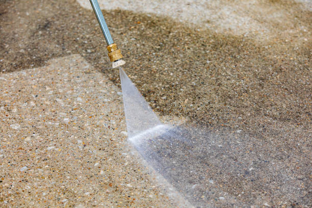 Best Oil Spill Cleanup  in San Pasqual, CA